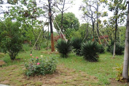 九游会老哥必备的交流社区_论坛帖吧