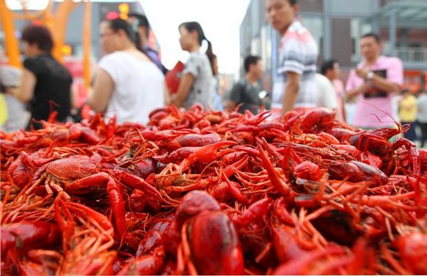 九游会老哥必备的交流社区_论坛帖吧