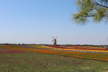 九游会老哥必备的交流社区_论坛帖吧