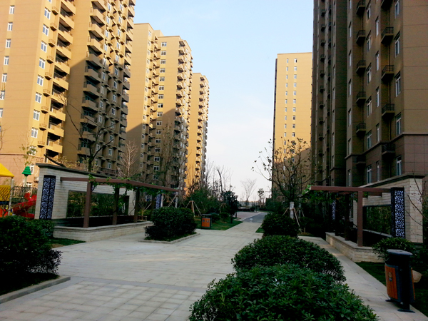 九游会老哥必备的交流社区_论坛帖吧