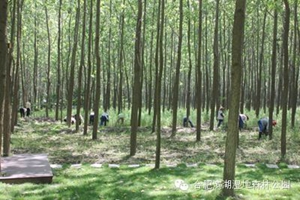 九游会老哥必备的交流社区_论坛帖吧