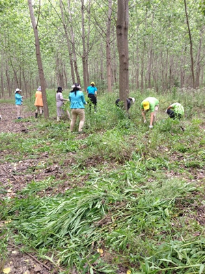 九游会老哥必备的交流社区_论坛帖吧