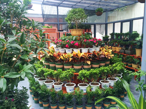 九游会老哥必备的交流社区_论坛帖吧