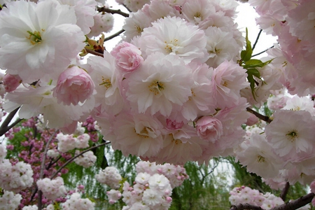 九游会老哥必备的交流社区_论坛帖吧