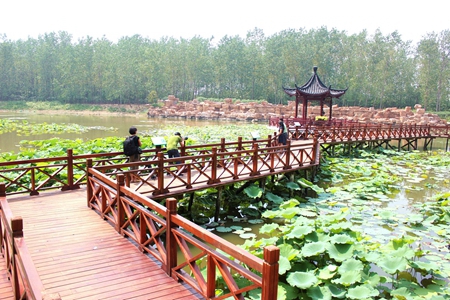 九游会老哥必备的交流社区_论坛帖吧