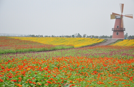 九游会老哥必备的交流社区_论坛帖吧
