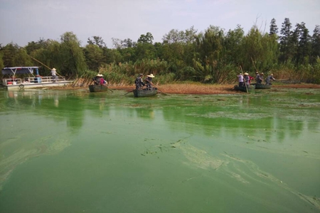 九游会老哥必备的交流社区_论坛帖吧