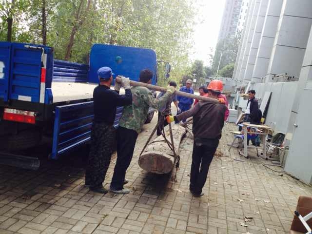 九游会老哥必备的交流社区_论坛帖吧