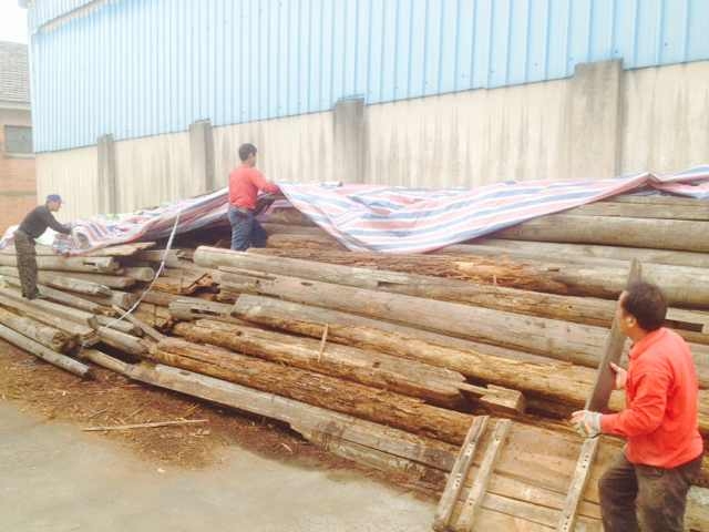 九游会老哥必备的交流社区_论坛帖吧