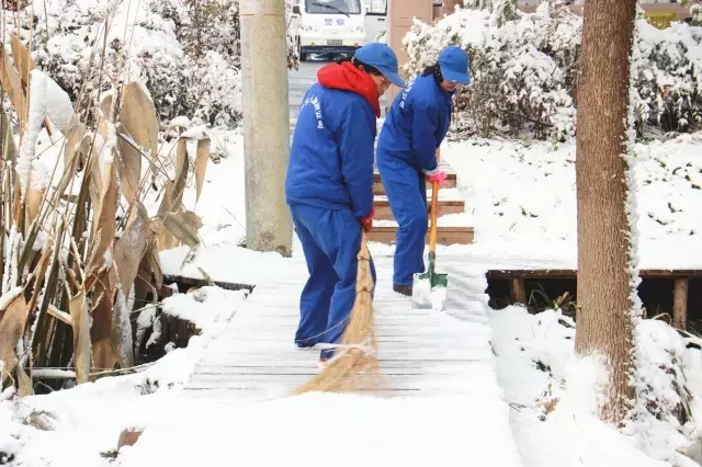 九游会老哥必备的交流社区_论坛帖吧