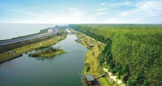 九游会老哥必备的交流社区_论坛帖吧