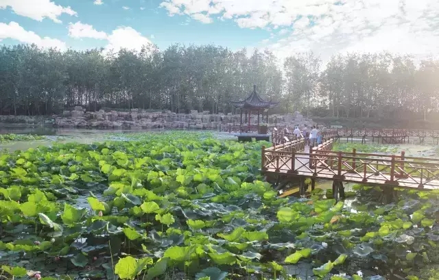 九游会老哥必备的交流社区_论坛帖吧