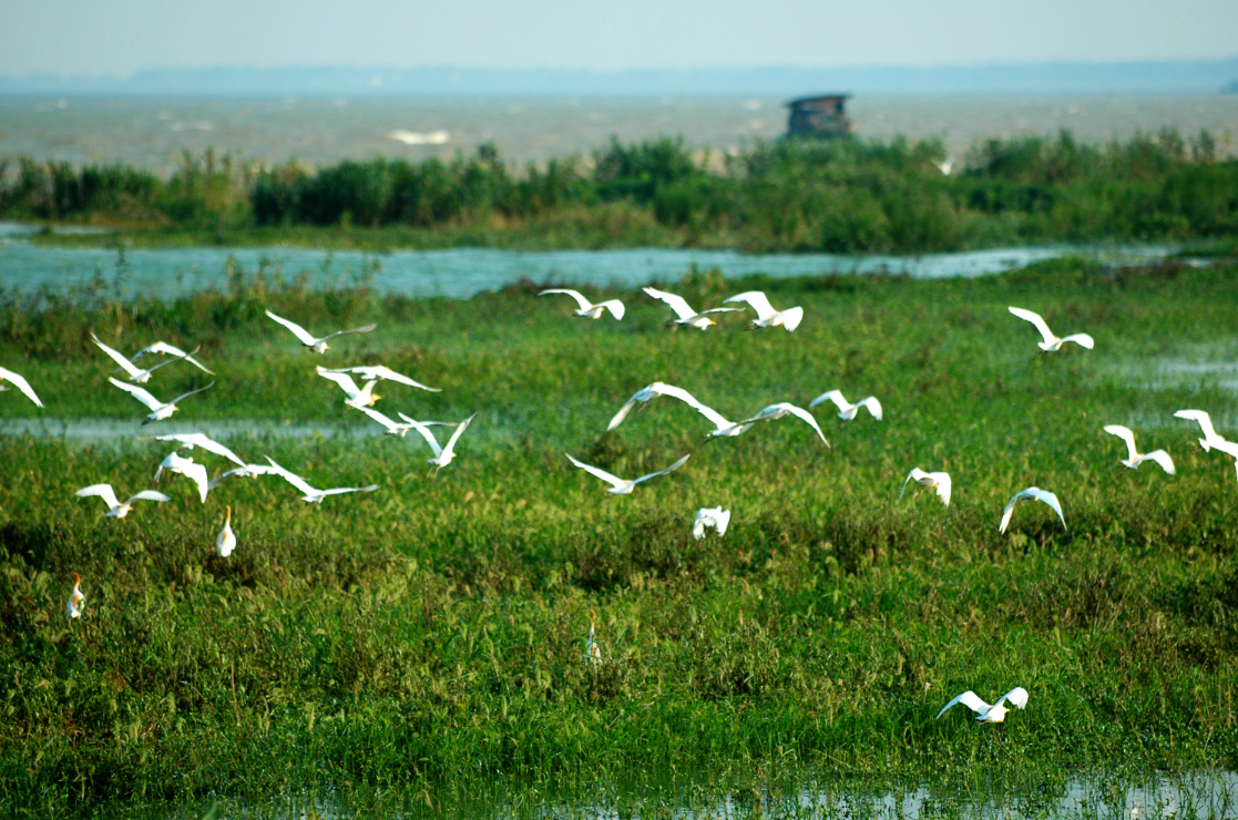 九游会老哥必备的交流社区_论坛帖吧