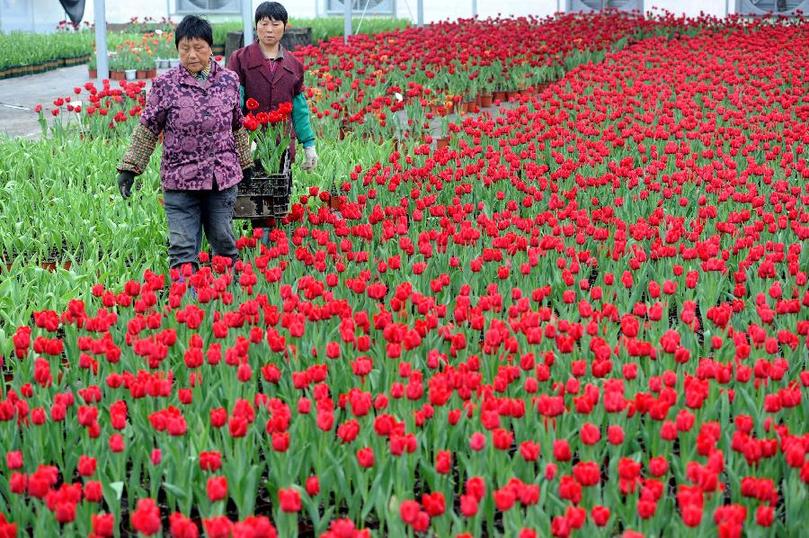 九游会老哥必备的交流社区_论坛帖吧