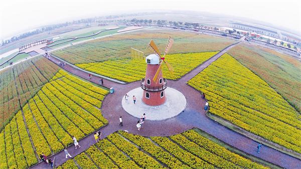 九游会老哥必备的交流社区_论坛帖吧