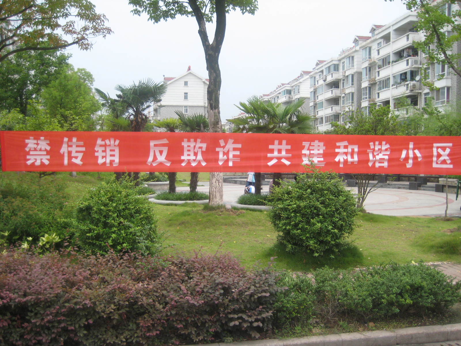 九游会老哥必备的交流社区_论坛帖吧