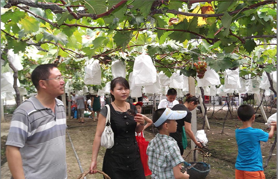 九游会老哥必备的交流社区_论坛帖吧