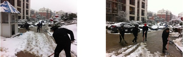 九游会老哥必备的交流社区_论坛帖吧