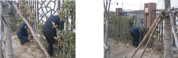 九游会老哥必备的交流社区_论坛帖吧