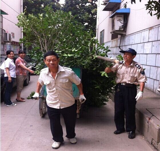 九游会老哥必备的交流社区_论坛帖吧