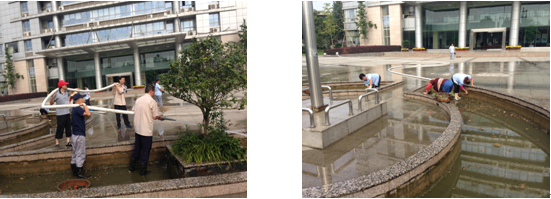 九游会老哥必备的交流社区_论坛帖吧