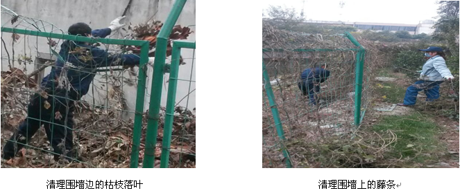 九游会老哥必备的交流社区_论坛帖吧