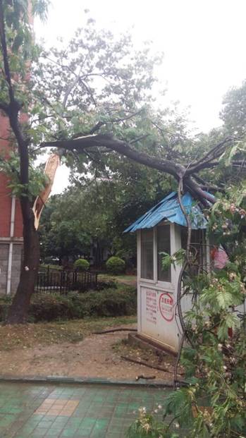 九游会老哥必备的交流社区_论坛帖吧