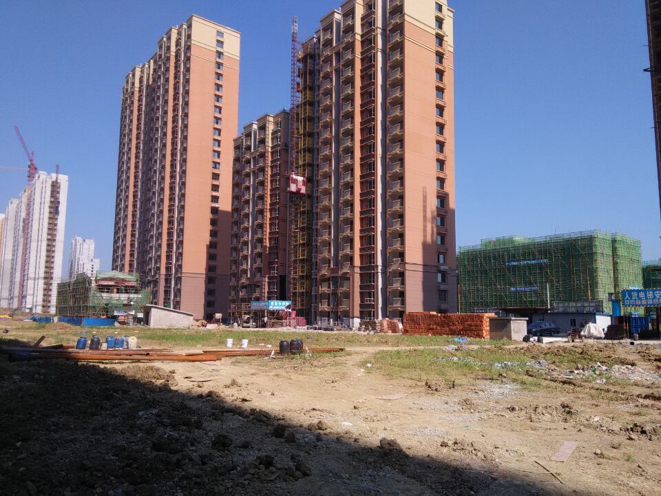 九游会老哥必备的交流社区_论坛帖吧