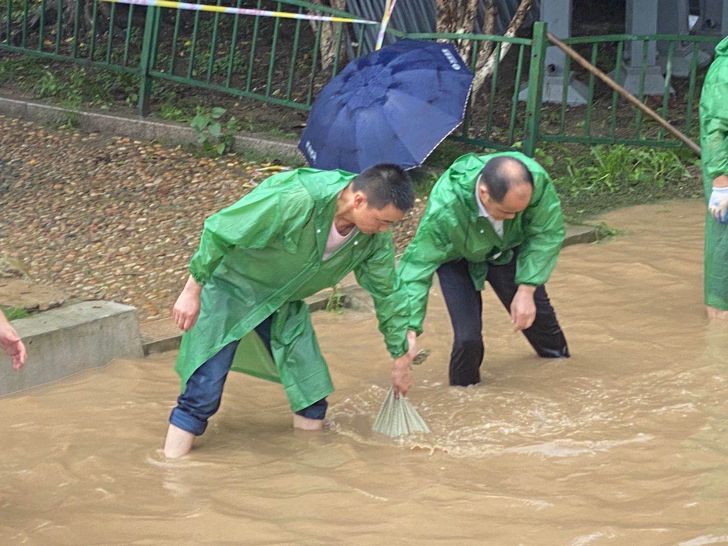九游会老哥必备的交流社区_论坛帖吧