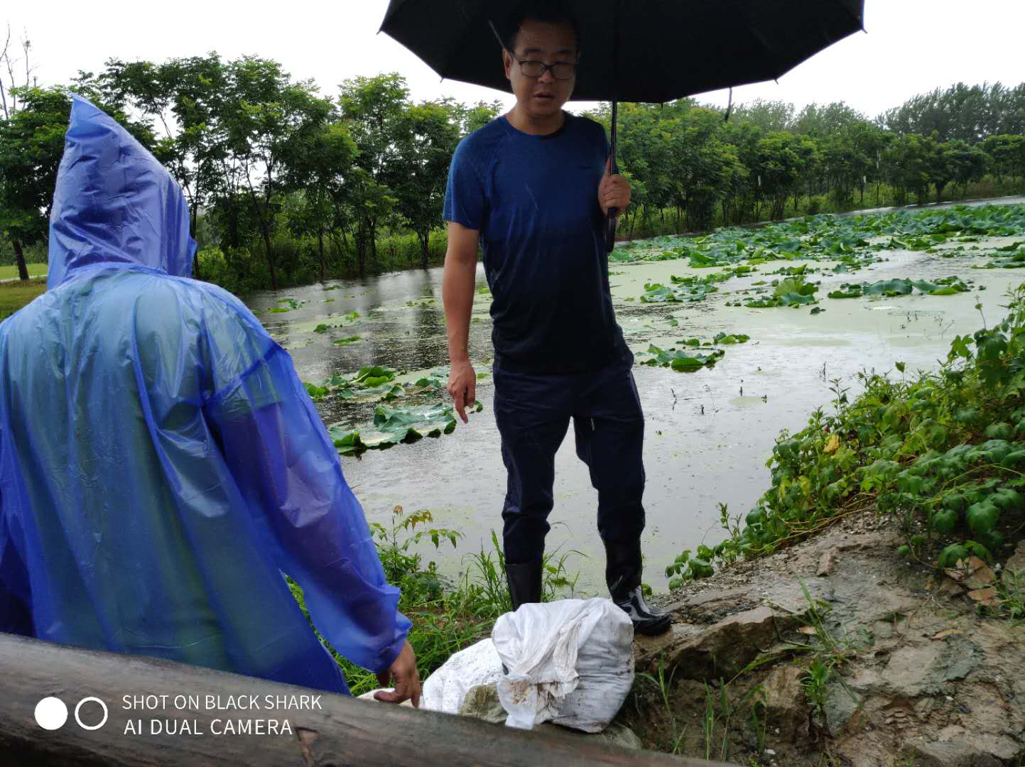 九游会老哥必备的交流社区_论坛帖吧