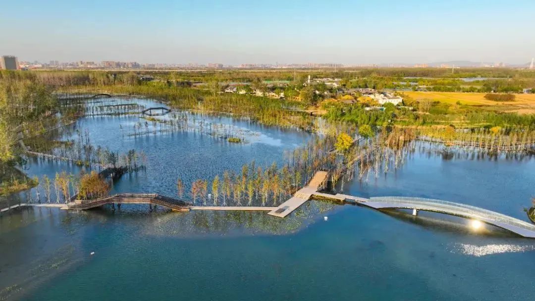 九游会老哥必备的交流社区_论坛帖吧