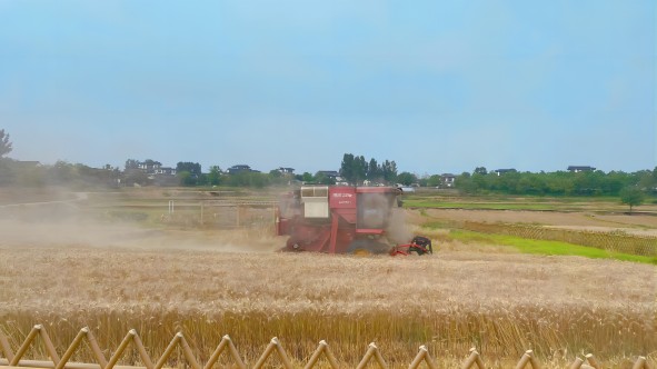 九游会老哥必备的交流社区_论坛帖吧