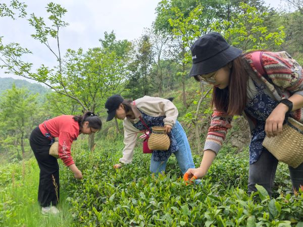 九游会老哥必备的交流社区_论坛帖吧