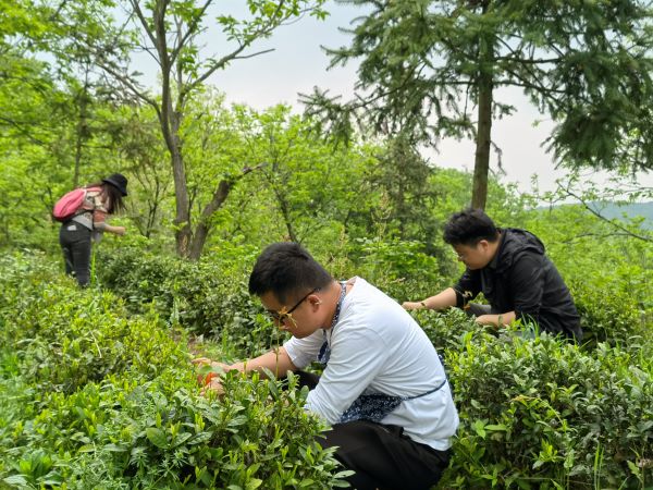 九游会老哥必备的交流社区_论坛帖吧