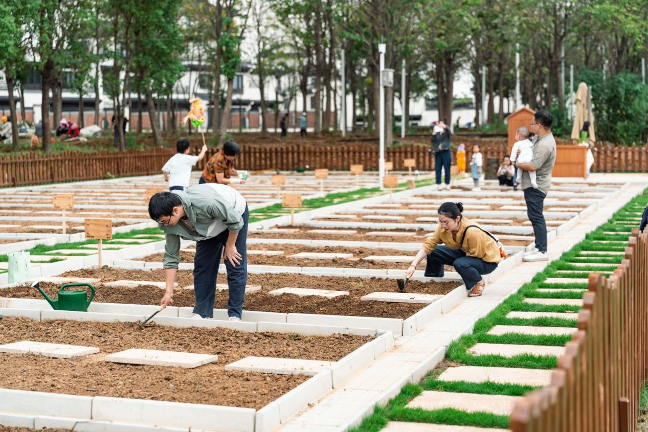 九游会老哥必备的交流社区_论坛帖吧